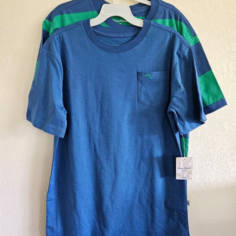 Tommy Bahama Boy's 2-Pack T-Shirts Green Stripe and Solid Blue XL 14